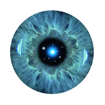 Forschungsnetzwerk Extraterrestrische Intelligenz - Forschungsnetzwerk ...